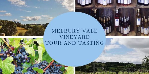 Clayesmore Society Vineyard Tour and Tasting