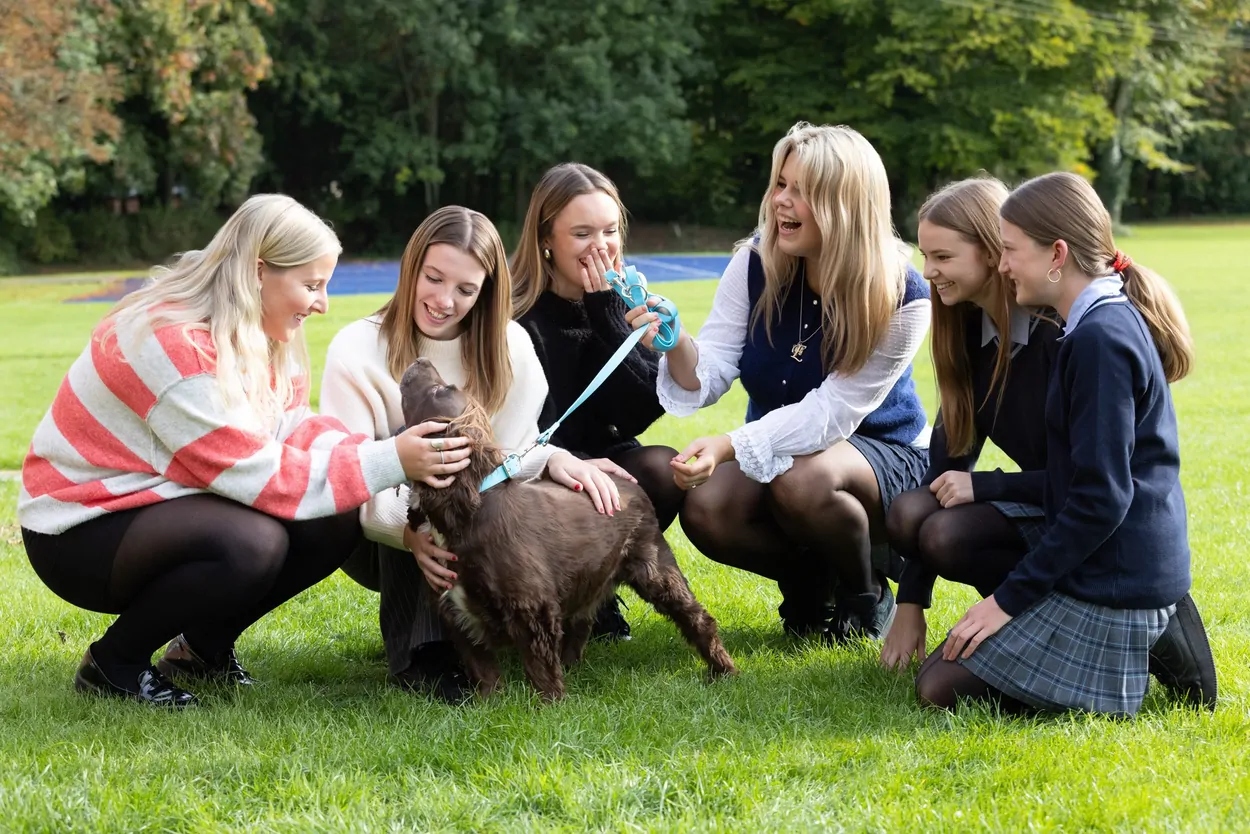 Pupils and staff meeting a dog on the lawn